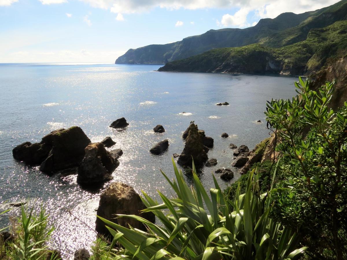 サンタ・クルス・ダス・フローレス Casa Da Travessaヴィラ エクステリア 写真